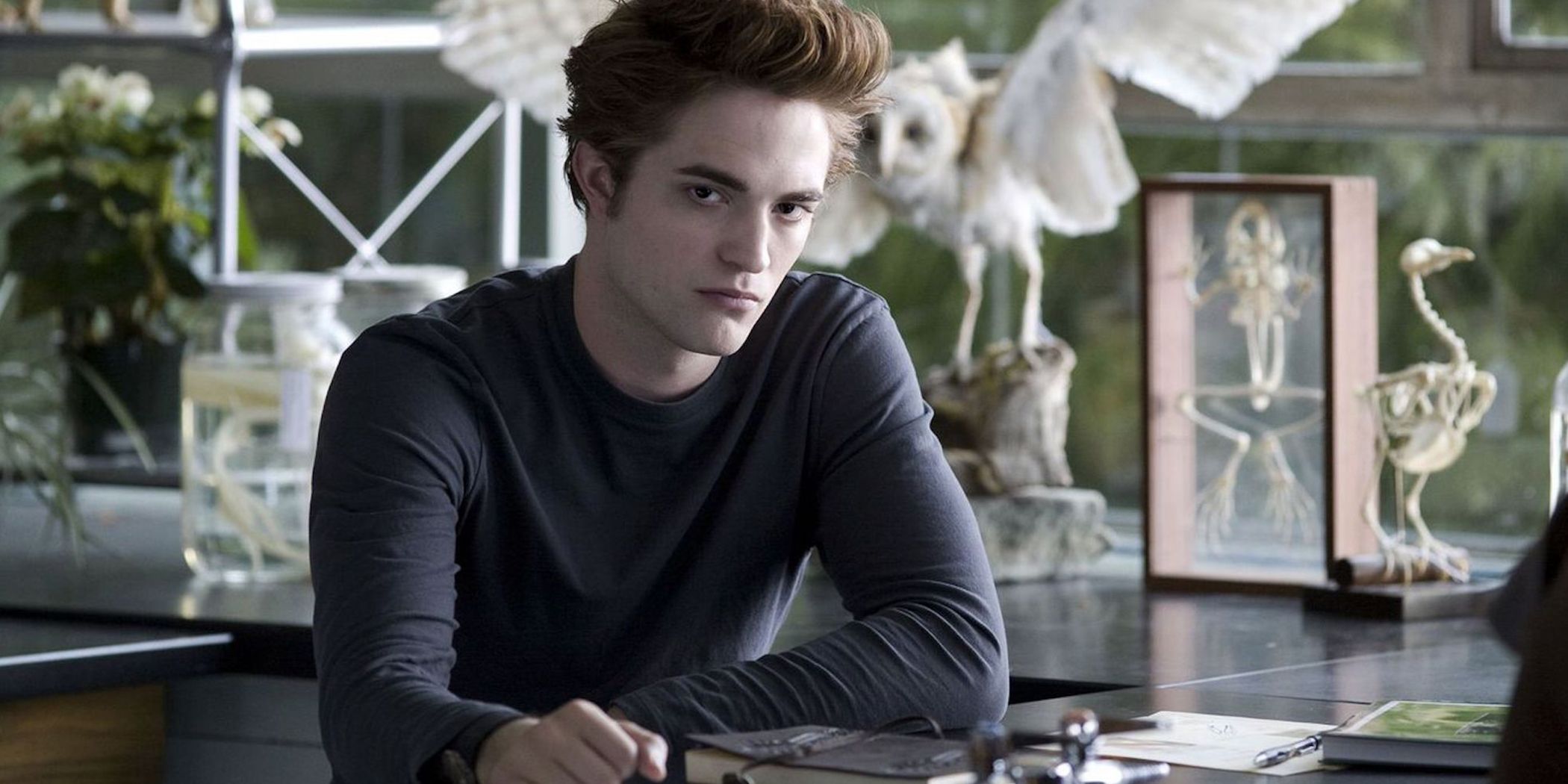 Twilight 10 Things Only Book Fans Know About Edward