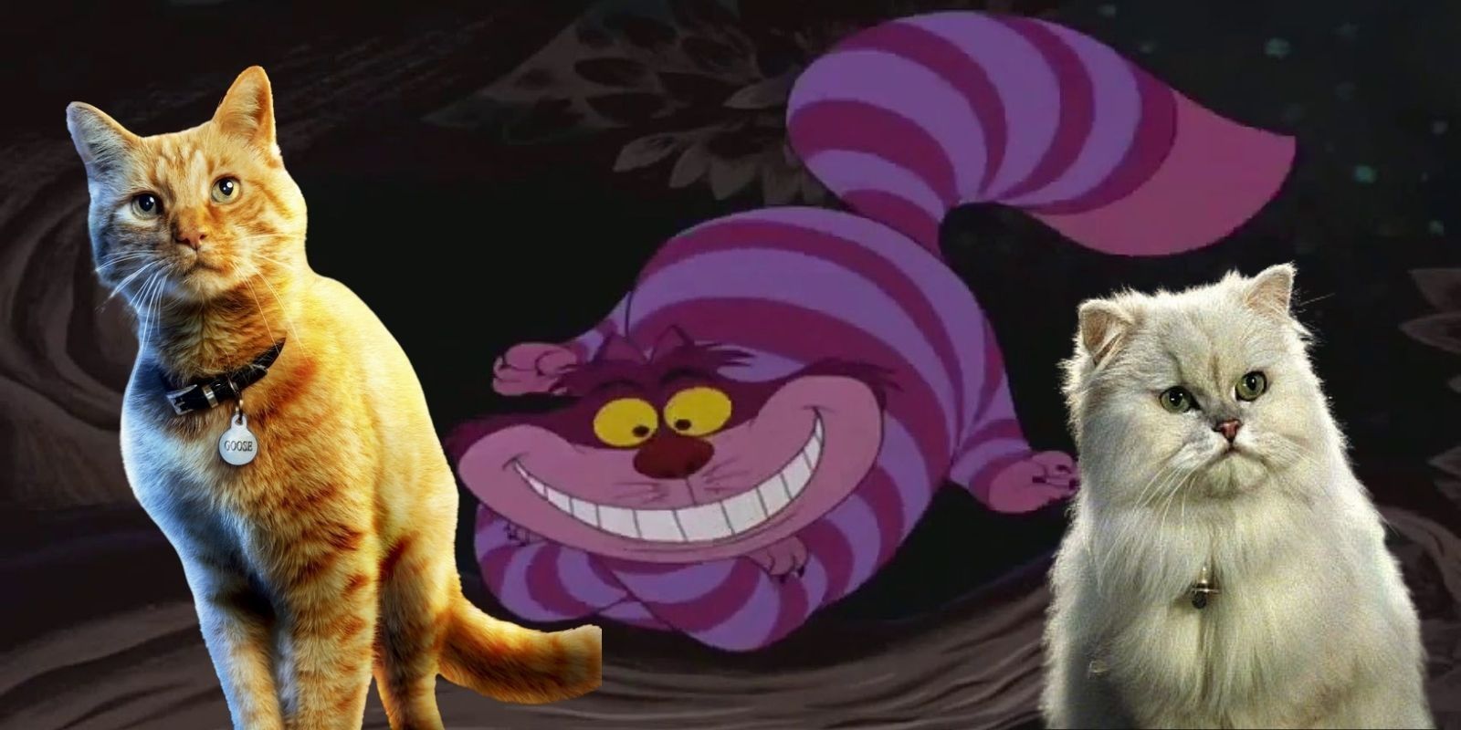 10 Movie Cats That Prove Why They Are Superior To Dogs