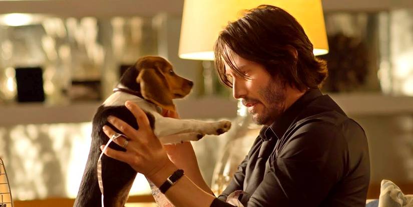 Keanu Reeves as John Wick holding up a dog in John Wick 2014