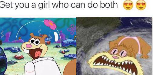 Spongebob Squarepants 10 Sandy Memes That True Fans Will Love Spongebob Squarepants 10 Sandy Memes That True Fans Will Love