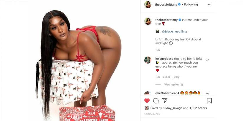 90 Day Fiancé: Brittany Banks Gifts Fans An OnlyFans Surprise In Bikini