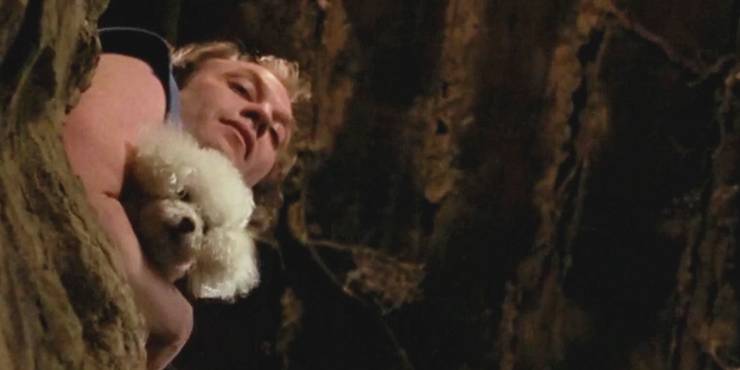 Fantastiske næve atlet Buffalo Bill's Backstory In The Silence Of The Lambs' Novel & Film