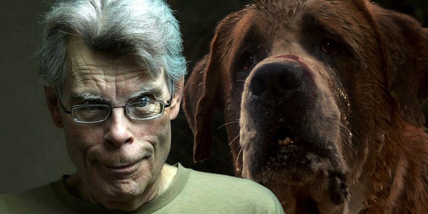 rabid dog stephen king