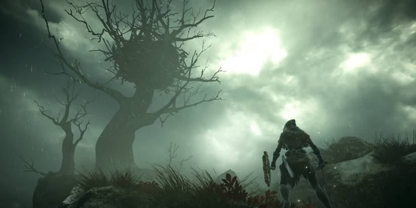 Demon's Souls and Dark Souls lets you trade with crows