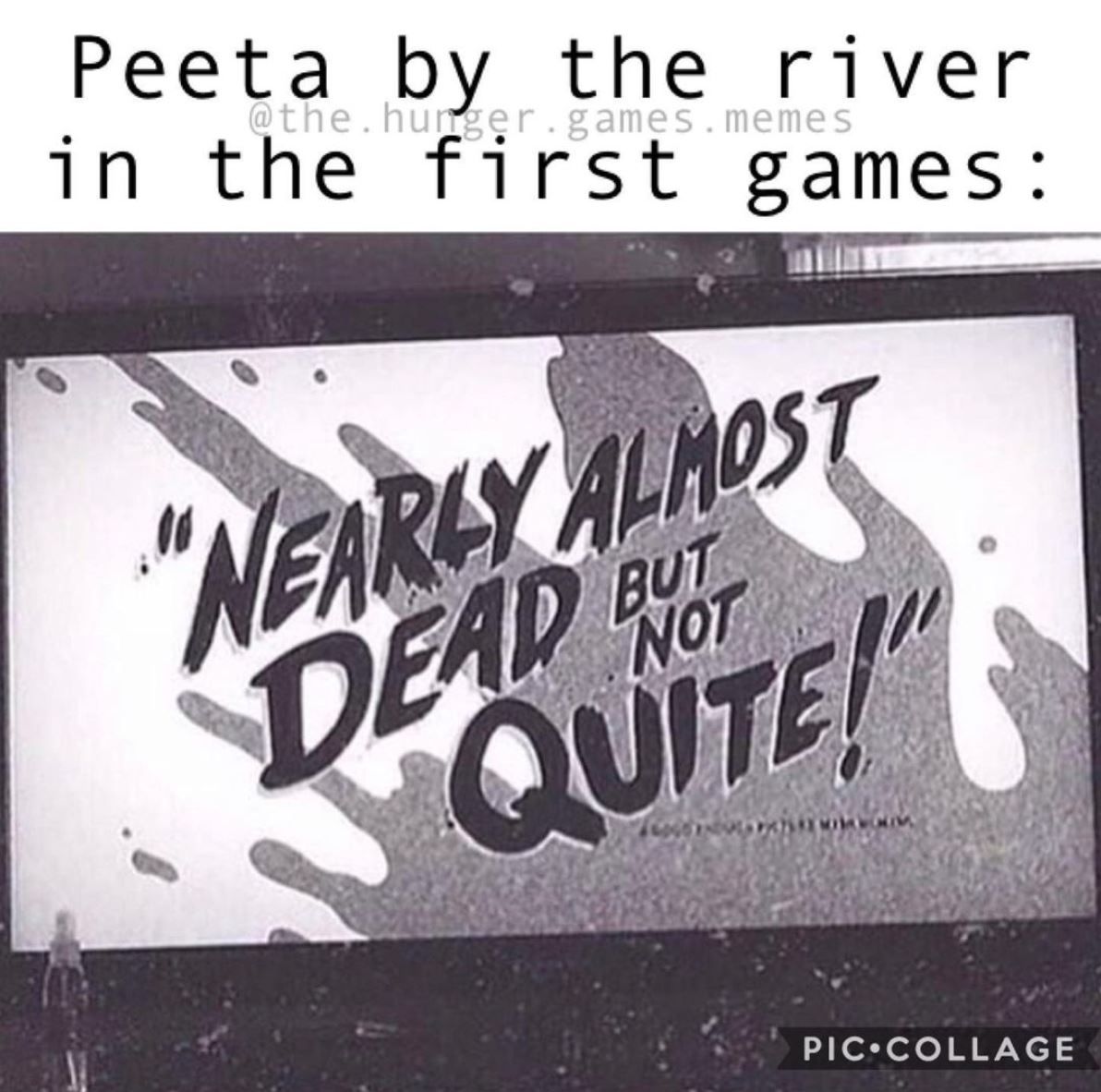 The Hunger Games 10 Memes Peeta Mellark Fans Will Love