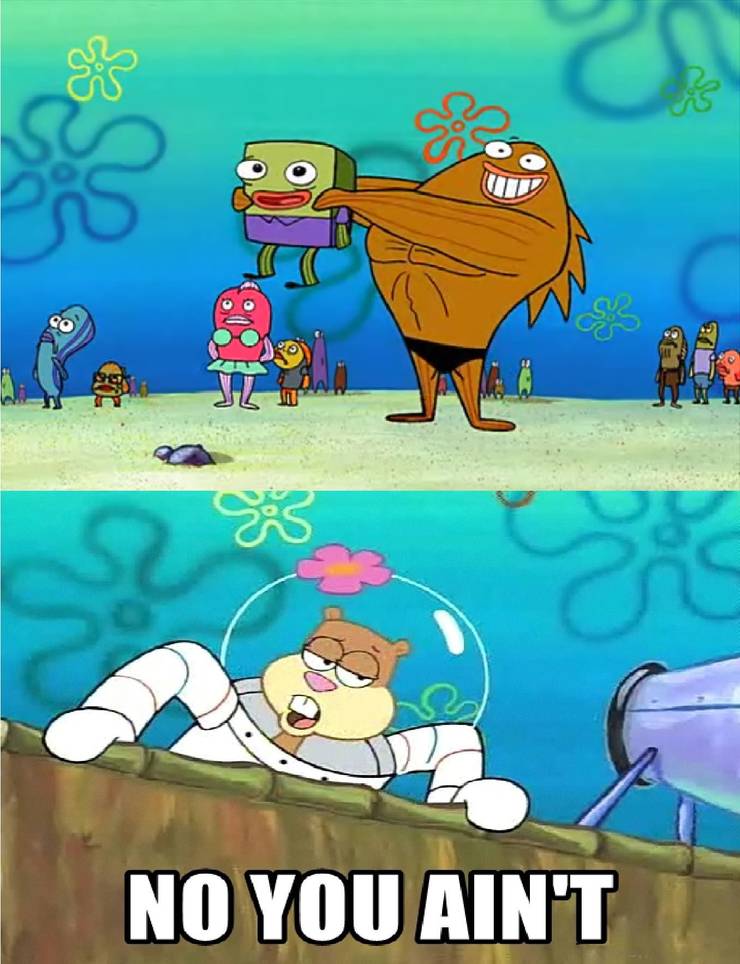 Spongebob Squarepants 10 Sandy Memes That True Fans Will Love Spongebob Squarepants 10 Sandy Memes That True Fans Will Love