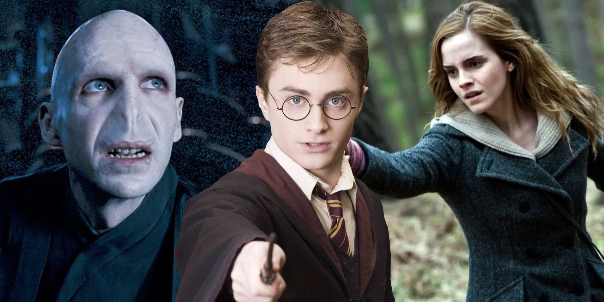 Harry Potter | ScreenRant