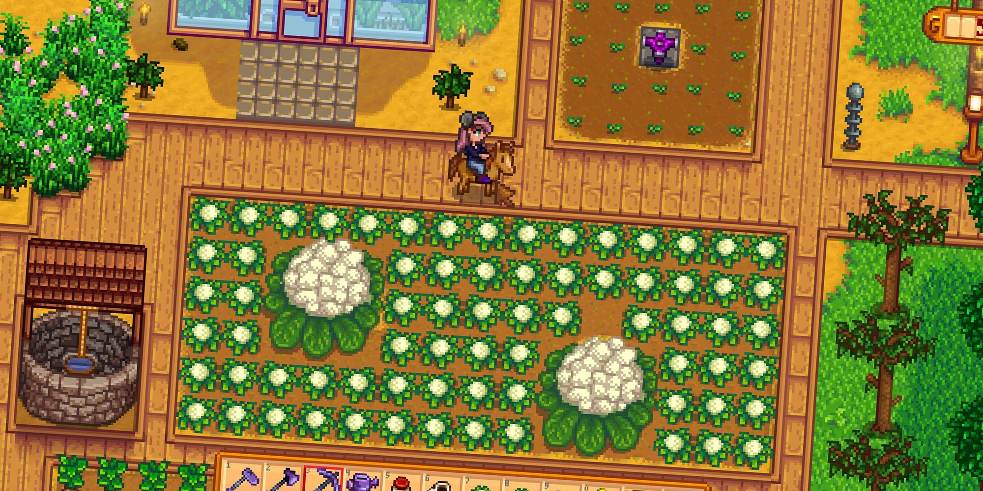 Stardew Valley Plants Dying