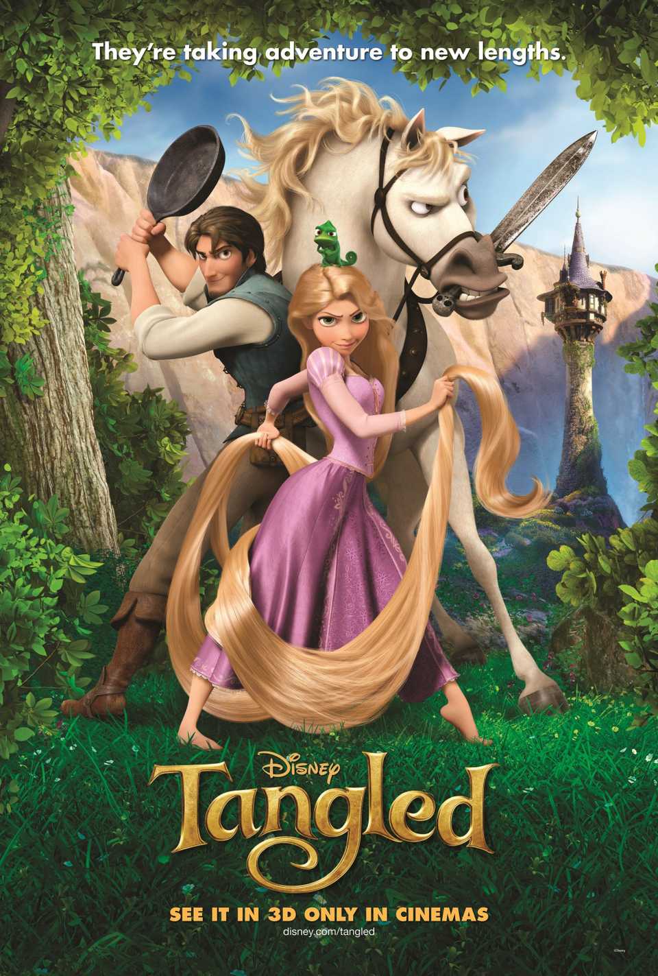 Pôster do filme Enrolados