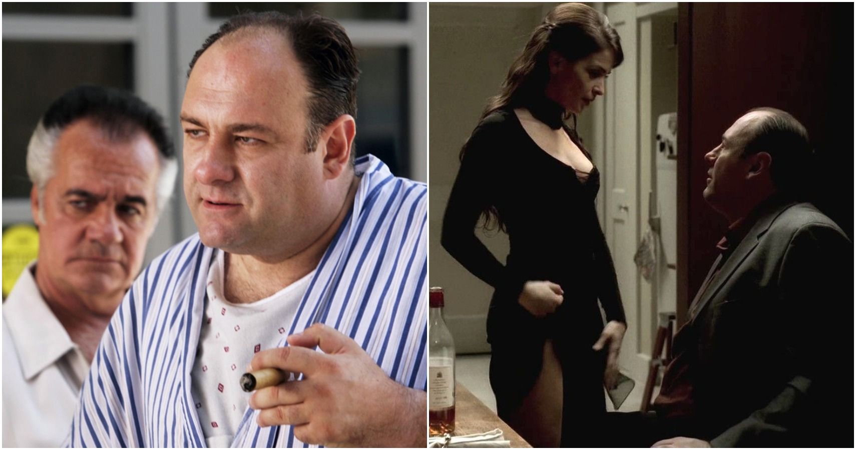 The Sopranos 10 Saddest Things About Tony Screenrant