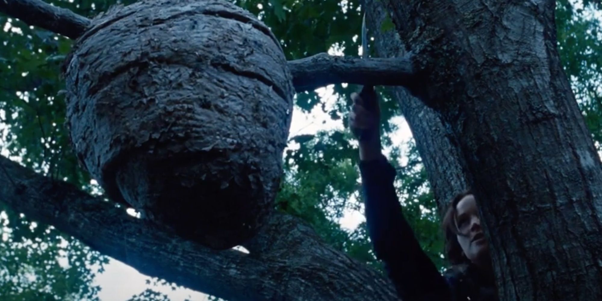 Hunger Games Mutts Schimmern