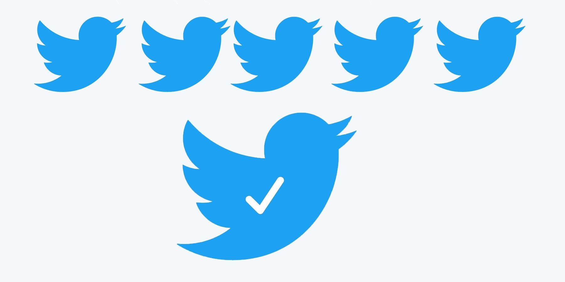 Twitter Verified 2021 birds
