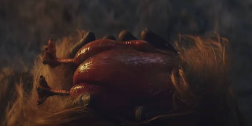 Cooked Porg Star Wars: 10 Details About Porgs You Missed