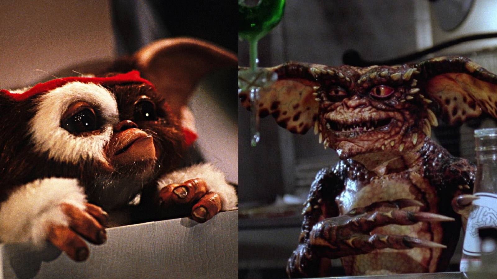 10 Things You Never Knew About Gremlins 2: The New Batch, image size:1600x900
