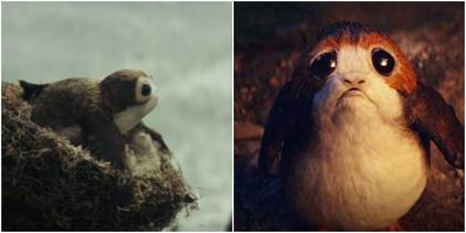 Porg Images The 10 Best Star Wars Creatures, Ranked