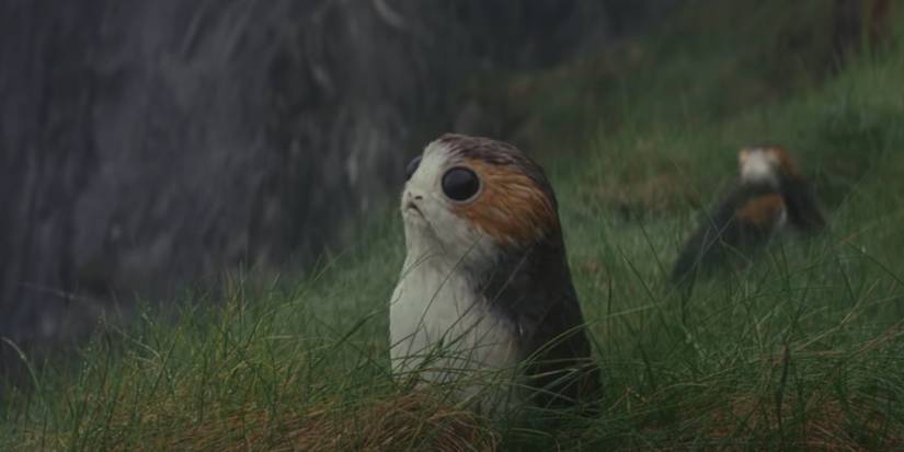 Star Wars: 10 Details About Porgs You Missed