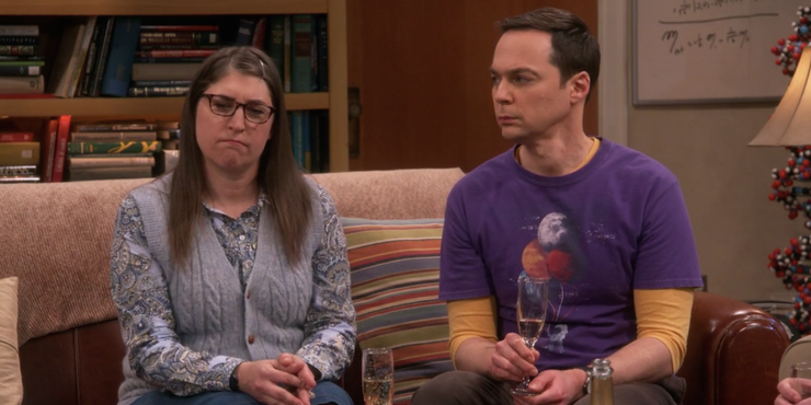 The Big Bang Theory 9 Unpopular Opinions About Sheldon (According To Reddit)