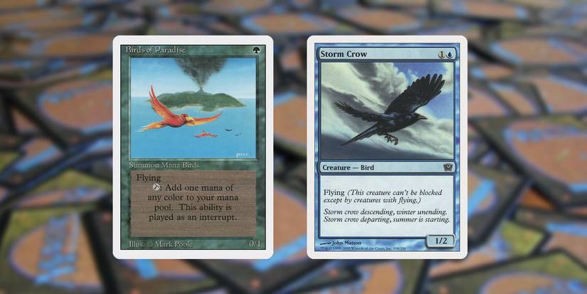 Magic: The Gathering's Birds Of Paradise Card Design Issues Explained