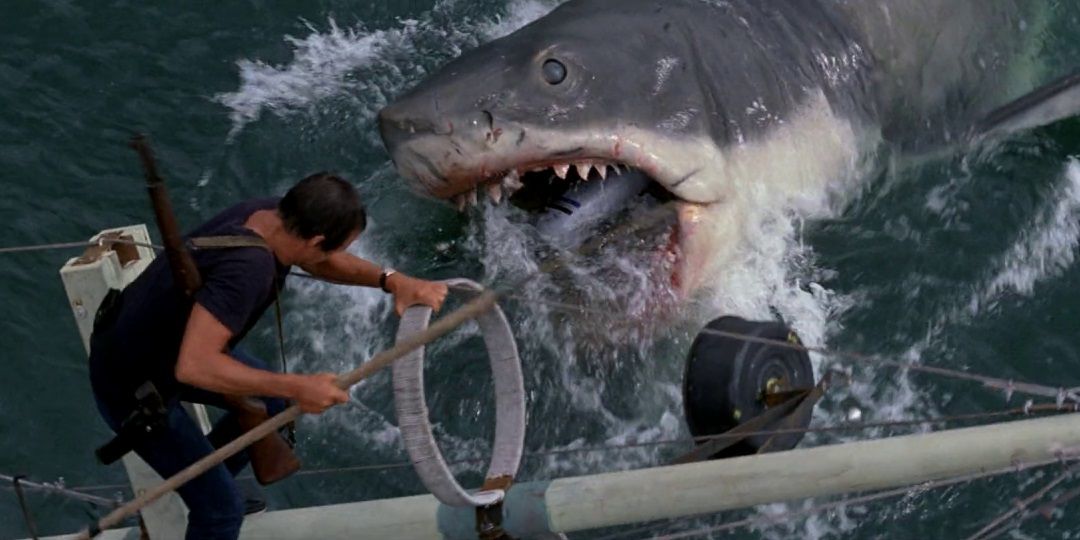 Jaws Why Brody Is A Perfect Protagonist (& The Shark Is A Classic Movie Monster)