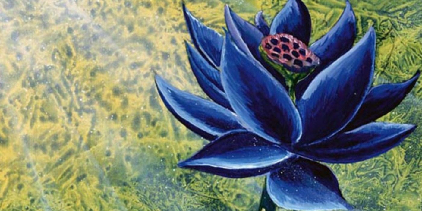 black lotus ブラックロータス bbp 4枚 楽天市場】black lotus mtgの通販