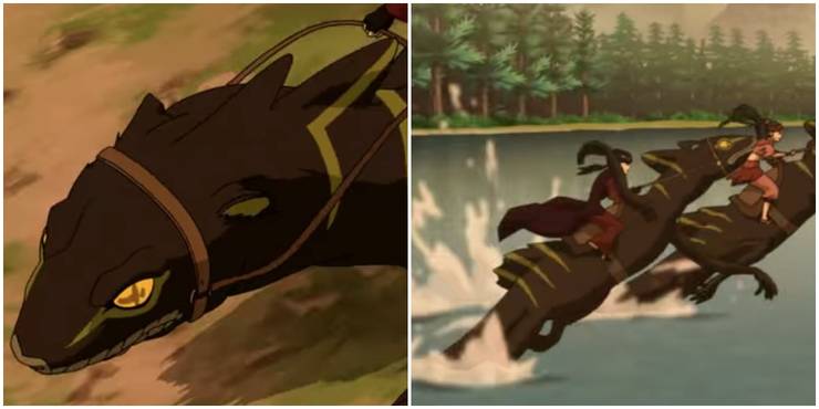 Avatar The Last Airbender The 10 Coolest Animal Hybrids Ranked