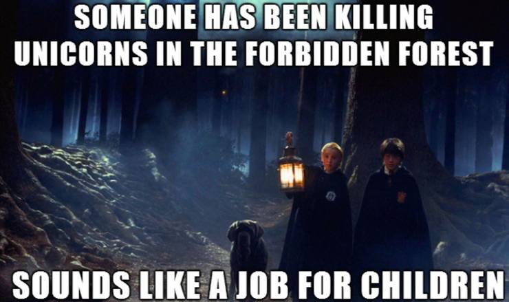 10 Humorous Harry Potter And Draco Malfoy Memes 17 Draco and Harry with Fang in the Forbidden Forest