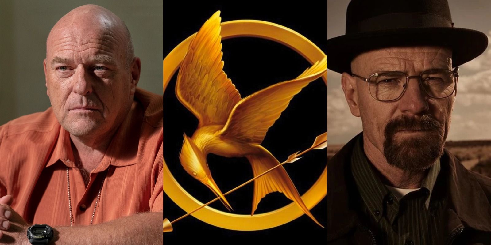 Breaking Bad Characters Ranked Least To Most Likely To Win The Hunger Games