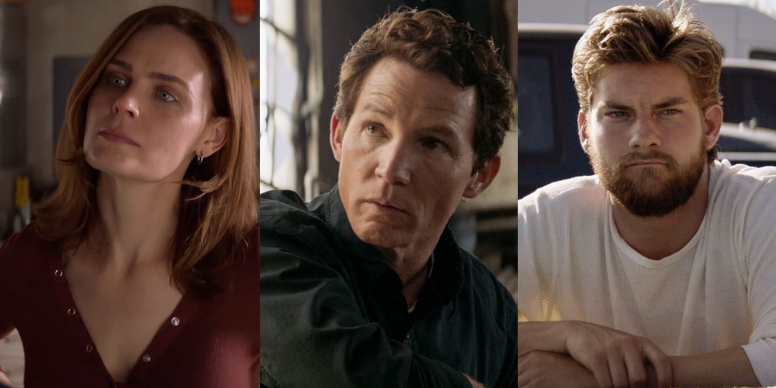 Animal Kingdom The Main Characters Ranked By Likability