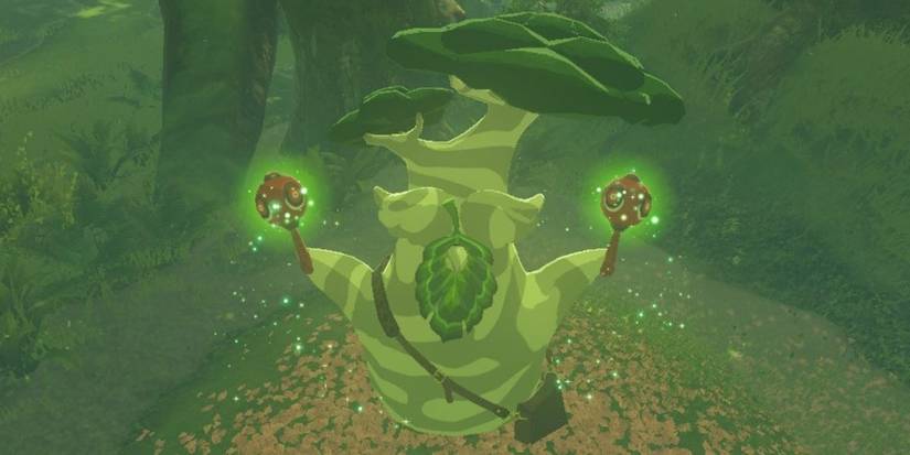 Hestu em Breath of the Wild