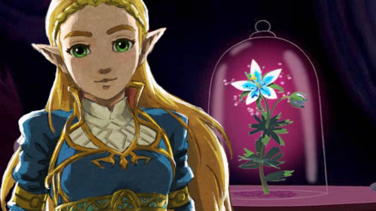 Real BOTW Silent Princess Terrarium Is The Perfect Valentines Day Gift