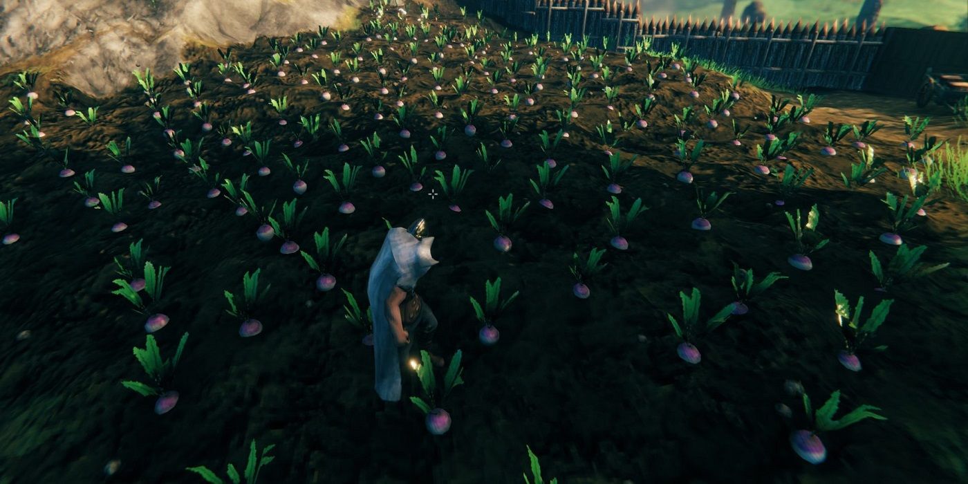 VALIEM willing plant BOWL-Ｌ VALIEM willing plant BOWL-L Valheim Guide to Gardening | Valheim