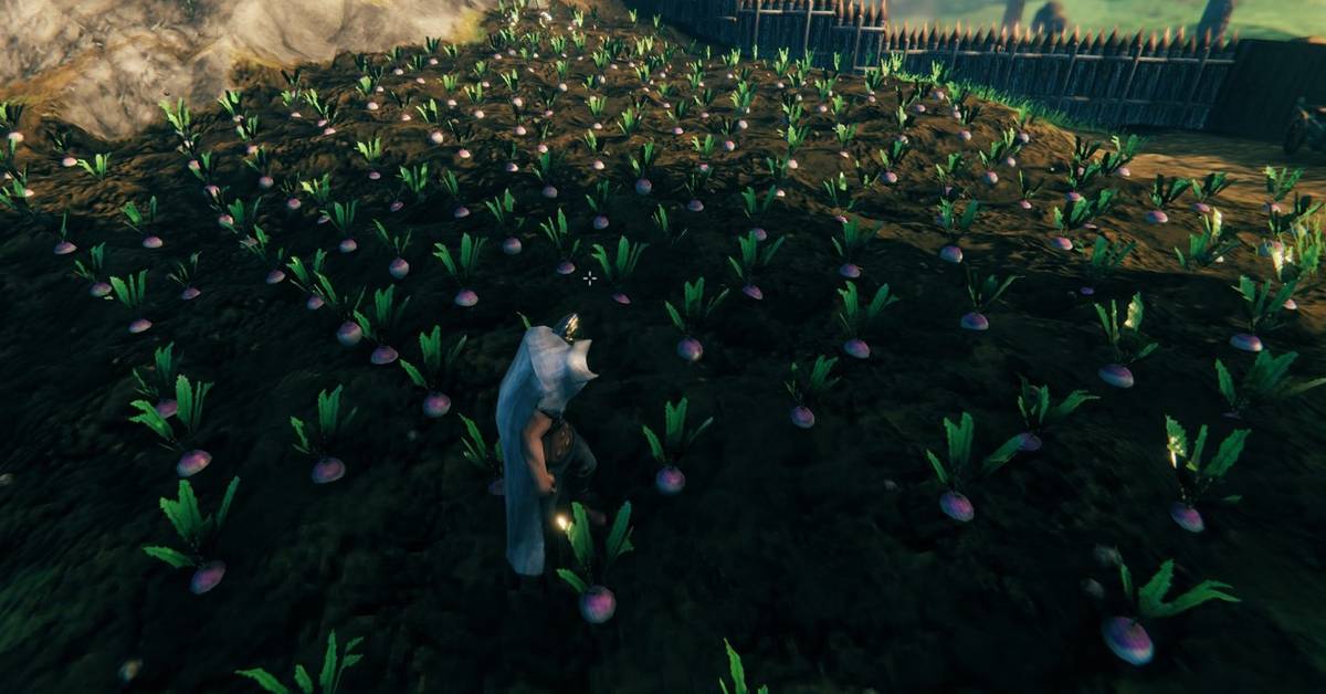 Valheim: Every Seed Players Can Plant & Grow