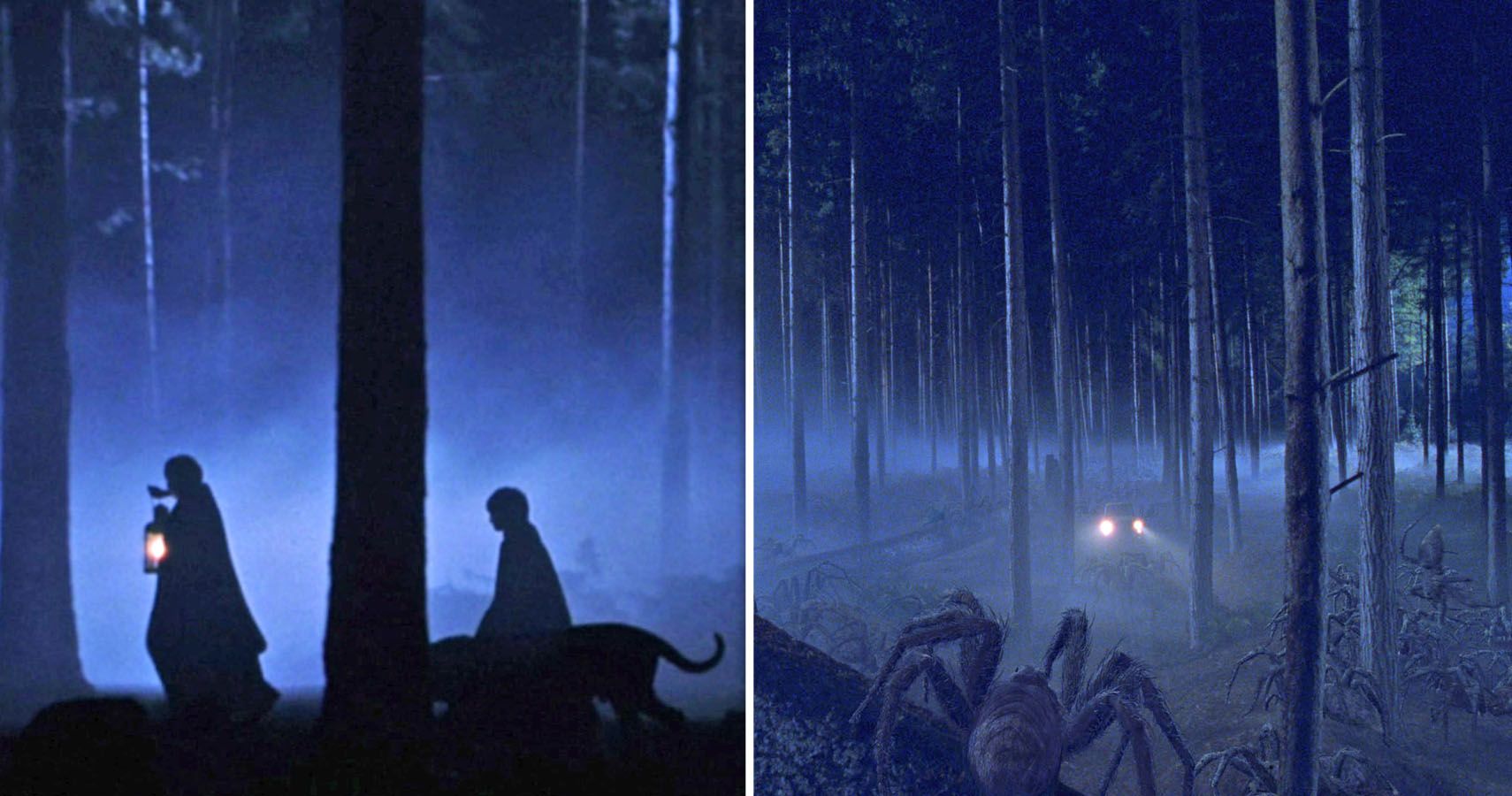 harry-potter-10-forbidden-forest-scenes-cut-from-the-movies