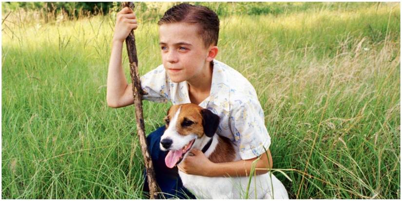 Rescued By Ruby, And 9 Other Dog Films Based On A True Story