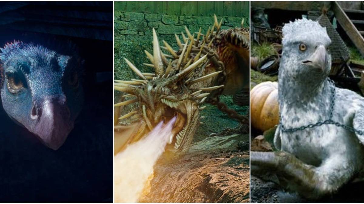 Harry Potter: 10 Things About Magical Creatures That Make No Sense