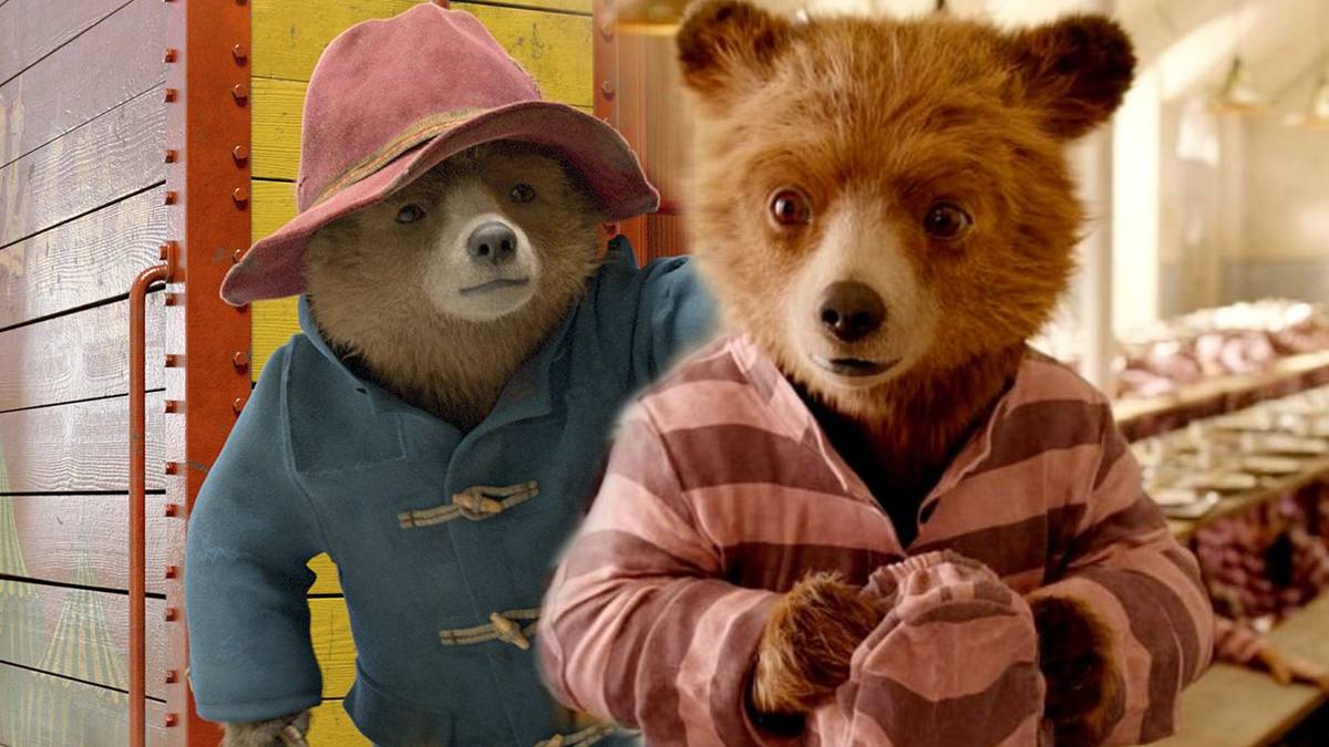 Paddington In Peru: Everything You Should Know