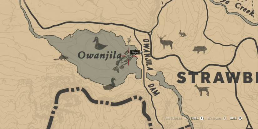 Night Beaver Rdo Where to Find The Legendary Night Beaver Location in Red Dead Online