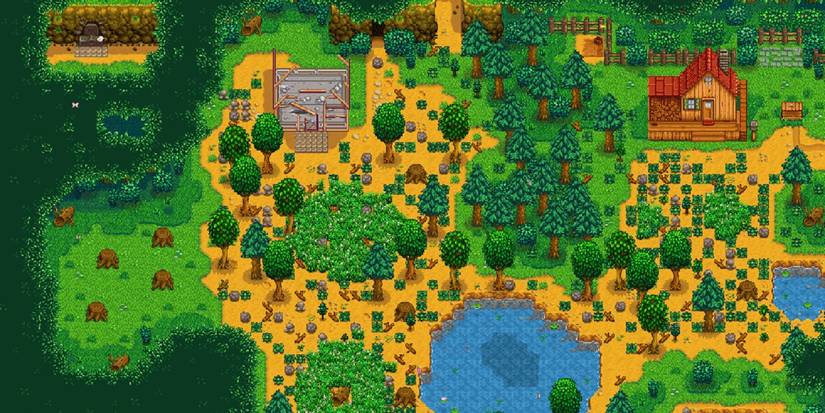 Планировка незастроенного участка фермы в лесу в Stardew Valley.
