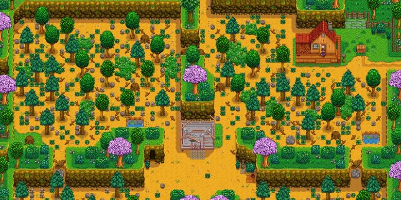 Макет незастроенного участка фермы "Четыре угла" в Stardew Valley.