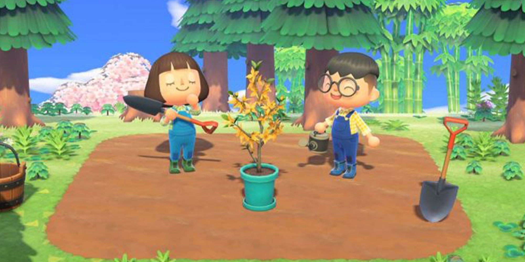 Animal Crossing: How To Get The Forsythia Plant