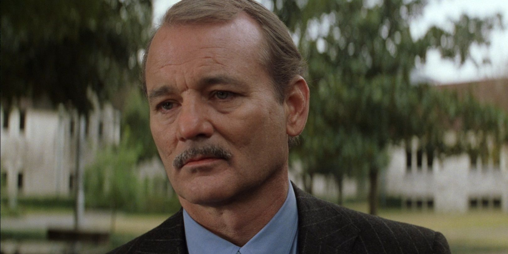 Bill Murray's 10 Best Movies, Ranked