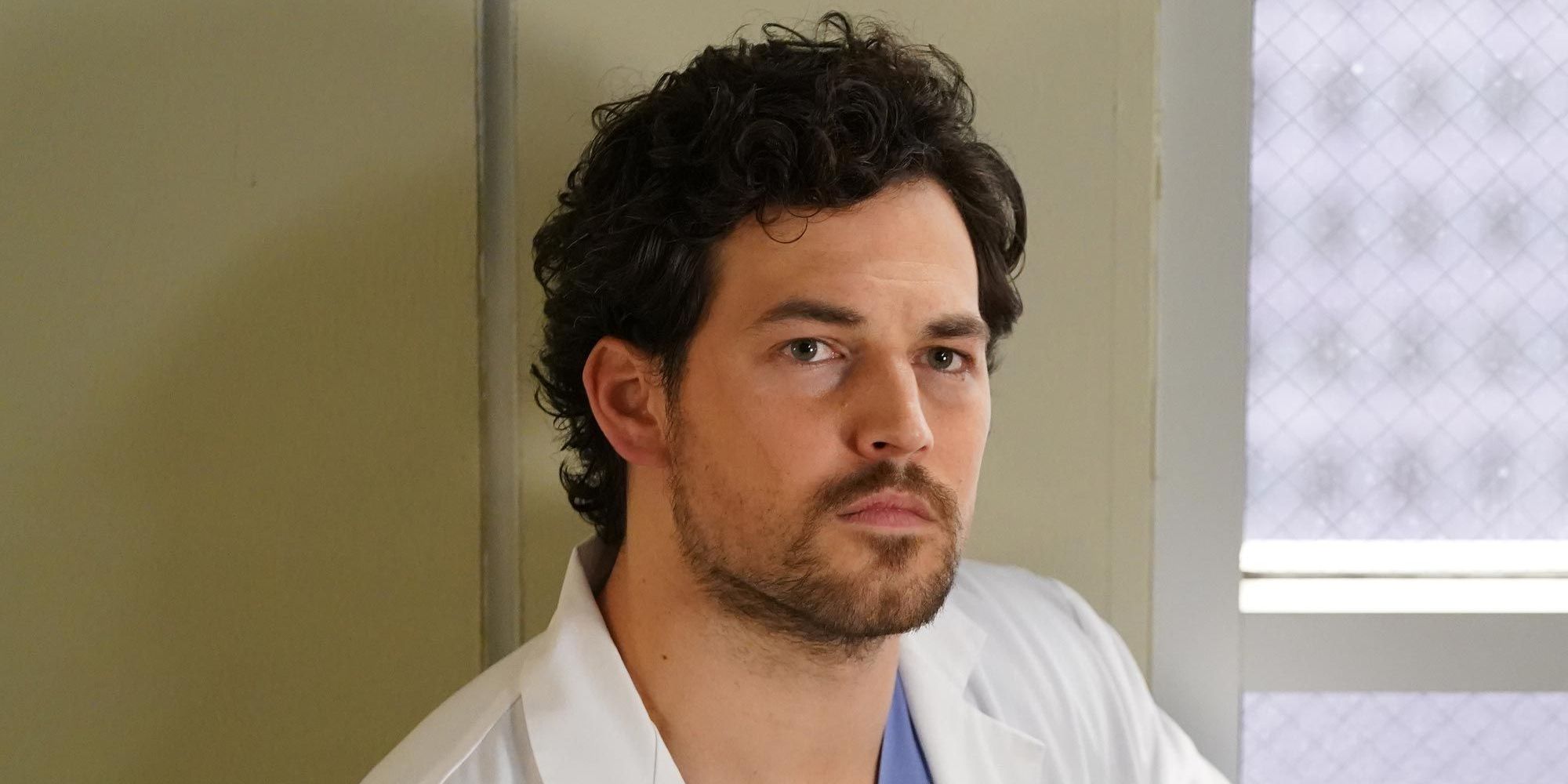 Grey's Anatomy: Every Main Character Who Was Killed Off (& Why)