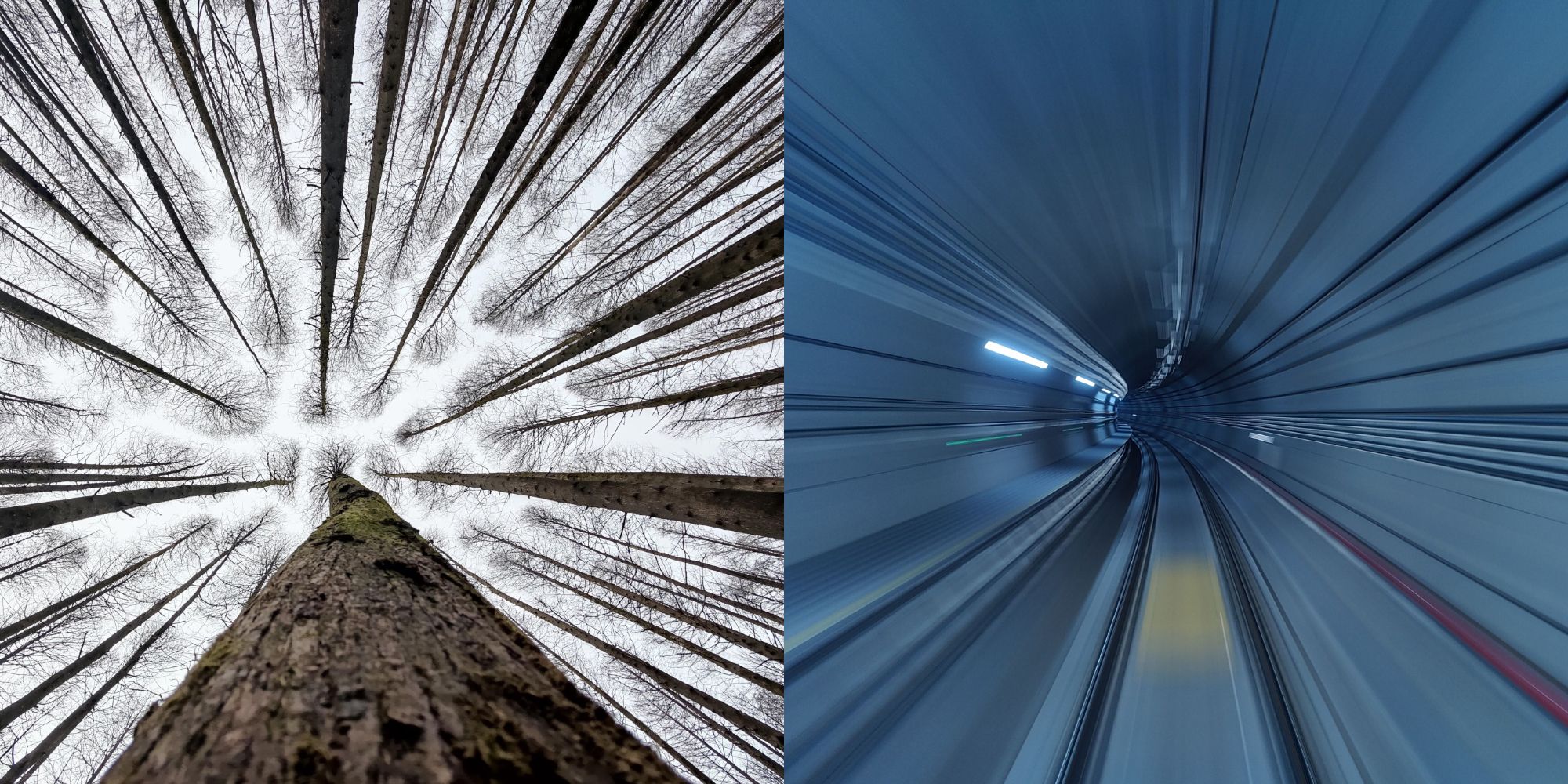 Stunning Oneplus 9 Photo Examples The Hasselblad Camera Tech Explained