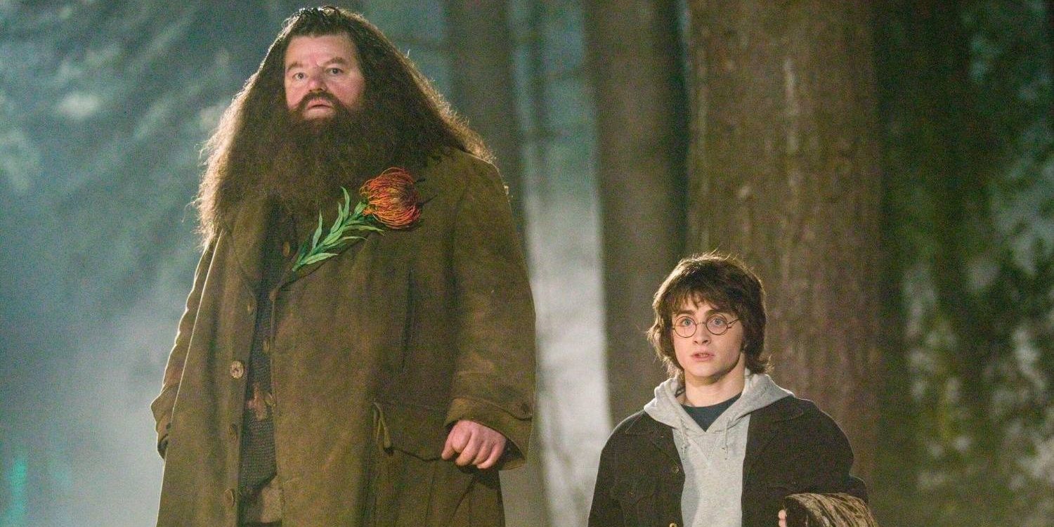 Rubeus Hagrid and Harry Potter Cropped