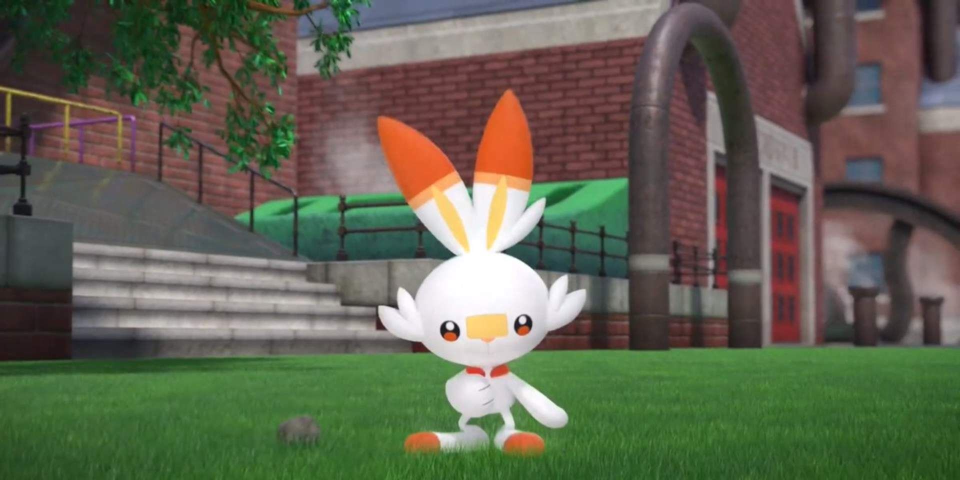 Scorbunny