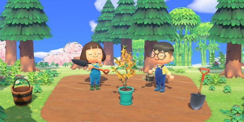 Animal Crossing Sandbox Islands Could Fix New Horizons' Multiplayer