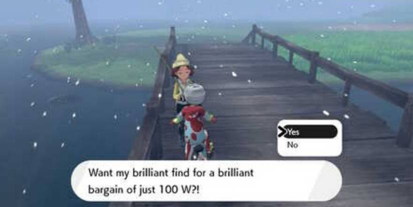 Pokémon Sword & Shield: 10 Obscure Items That Are Super Useful