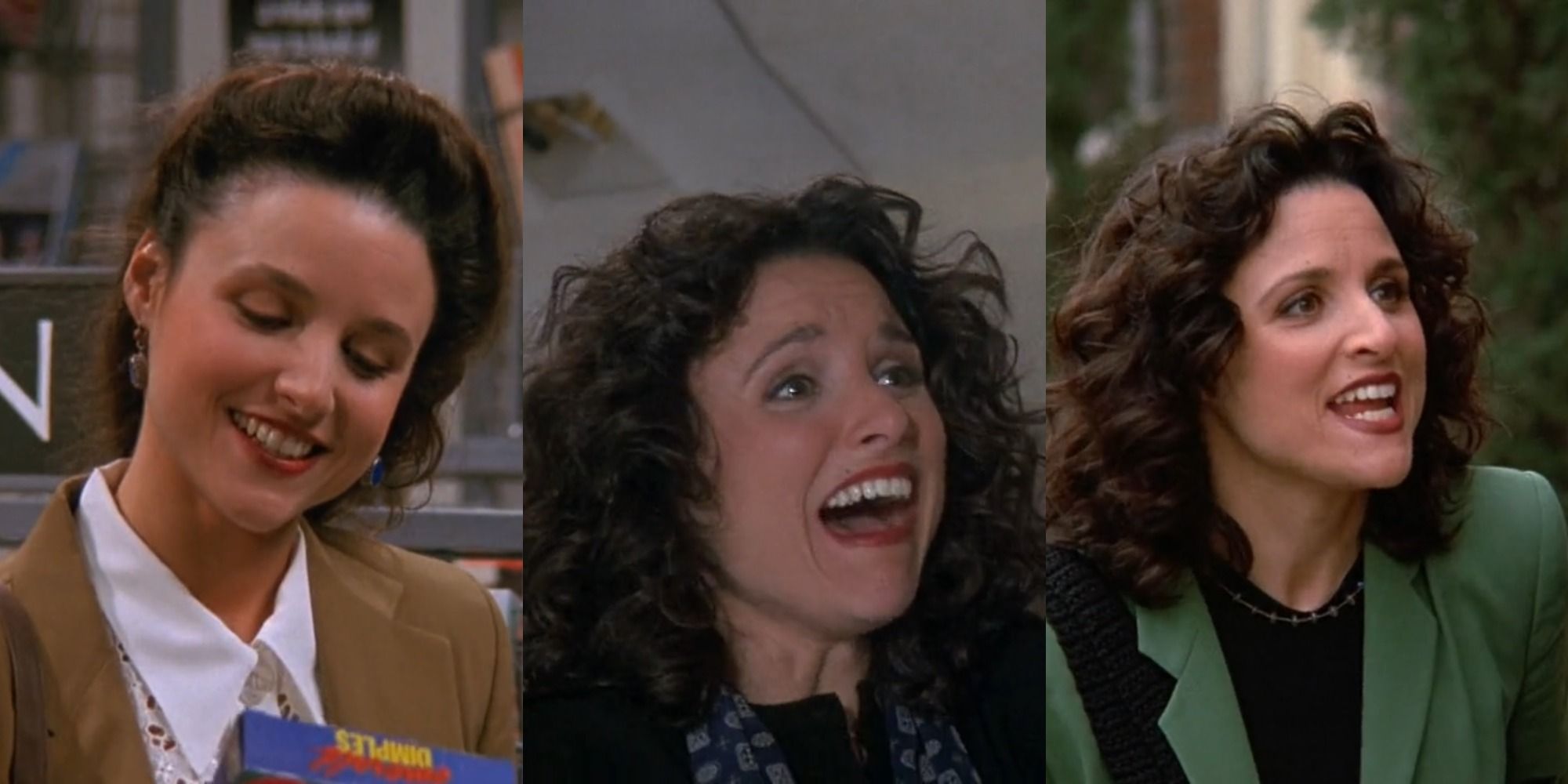 The Actress Who Played Elaine On Seinfeld Is The Daug - vrogue.co