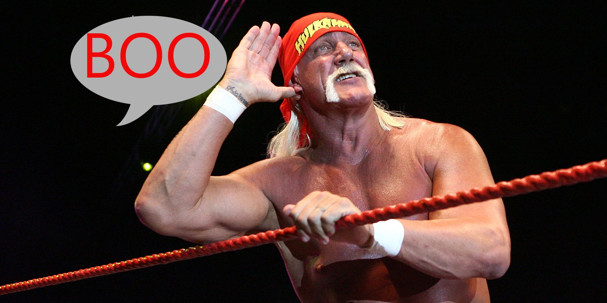 Why WWE Should Using Hogan - Geeky