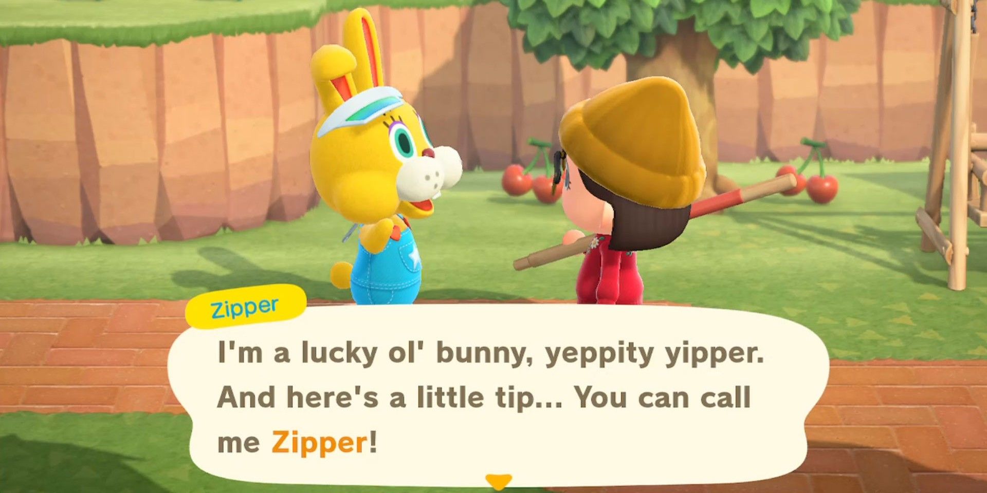 When Does Zipper Come In Animal Crossing 2025 - Diane Raychel